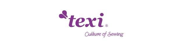 Logo TEXI