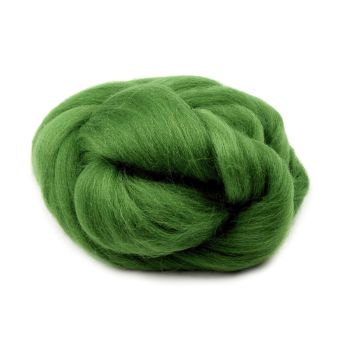 Vlna na plstění / ovčí rouno česané, 730340/19, 20g, zelená kapradí