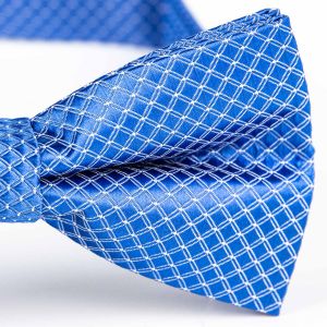 Motýlek pánský AMJ vzorovaný, modrý / károvaný MP457