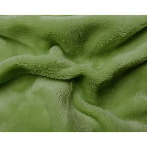 Prostěradlo MIKROFLANEL SLEEP WELL 180x200cm, kiwi (zelená)