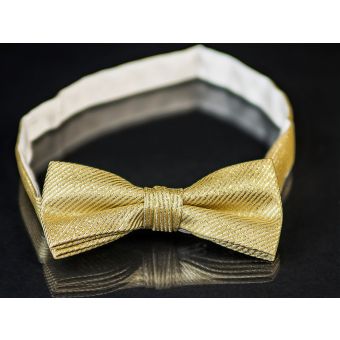 Motýlek pánský AMJ zlato stříbrný vzor MP027