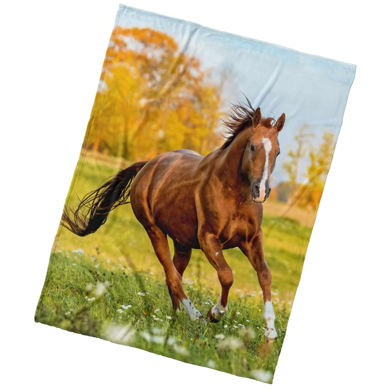 TipTrade s.r.o. Mikroplyšová deka Kůň Ryzák na louce 150x200 cm