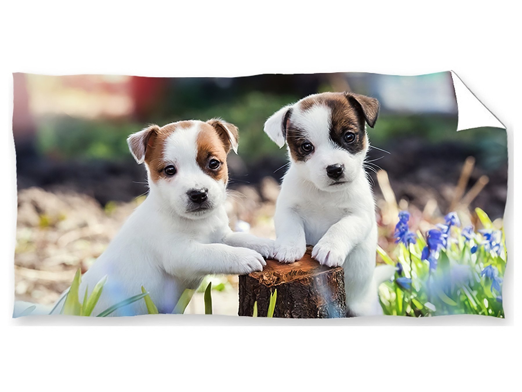 Carbotex Froté osuška Bráškové Jack Russell Teriér