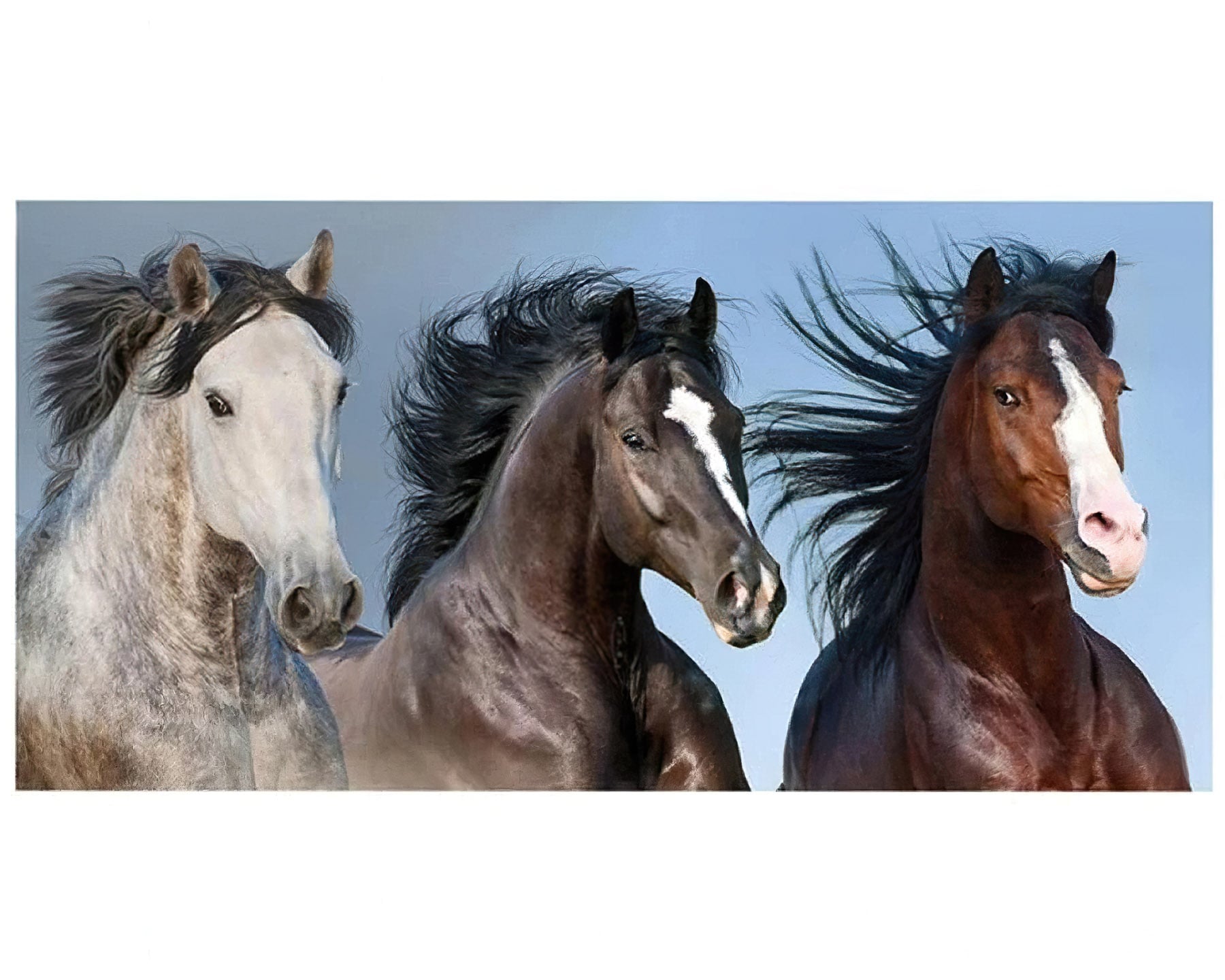 Jerry Fabrics Dětská plážová DIVOCÍ KONĚ V PŘÍRODĚ, modrá, froté, 70x140cm