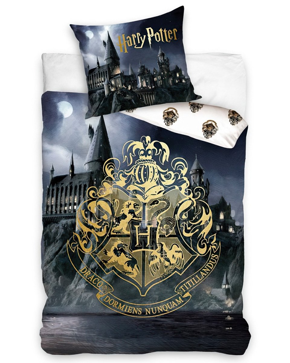 Carbotex Dětské povlečení Harry Potter Cesta do Bradavic