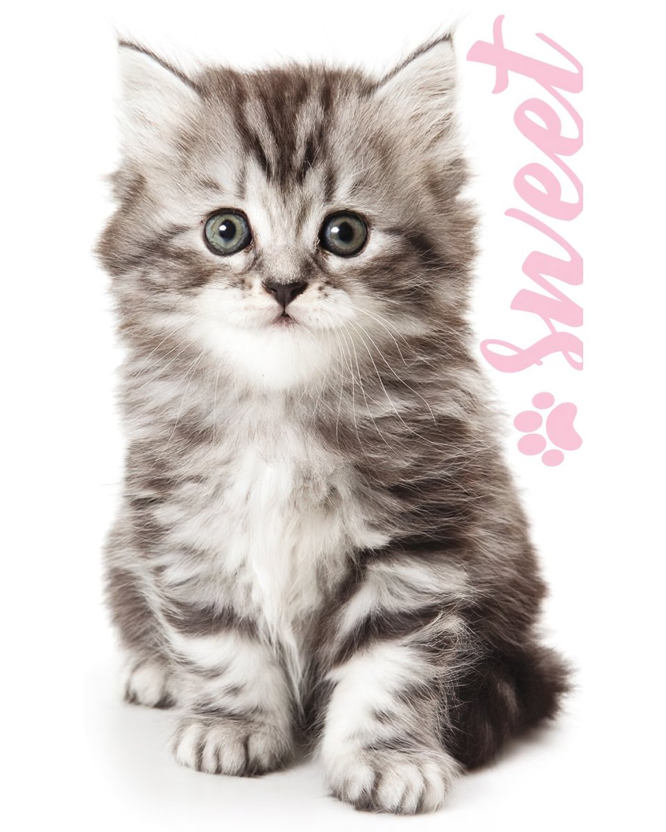 Carbotex Froté ručníček Kocourek Mourek