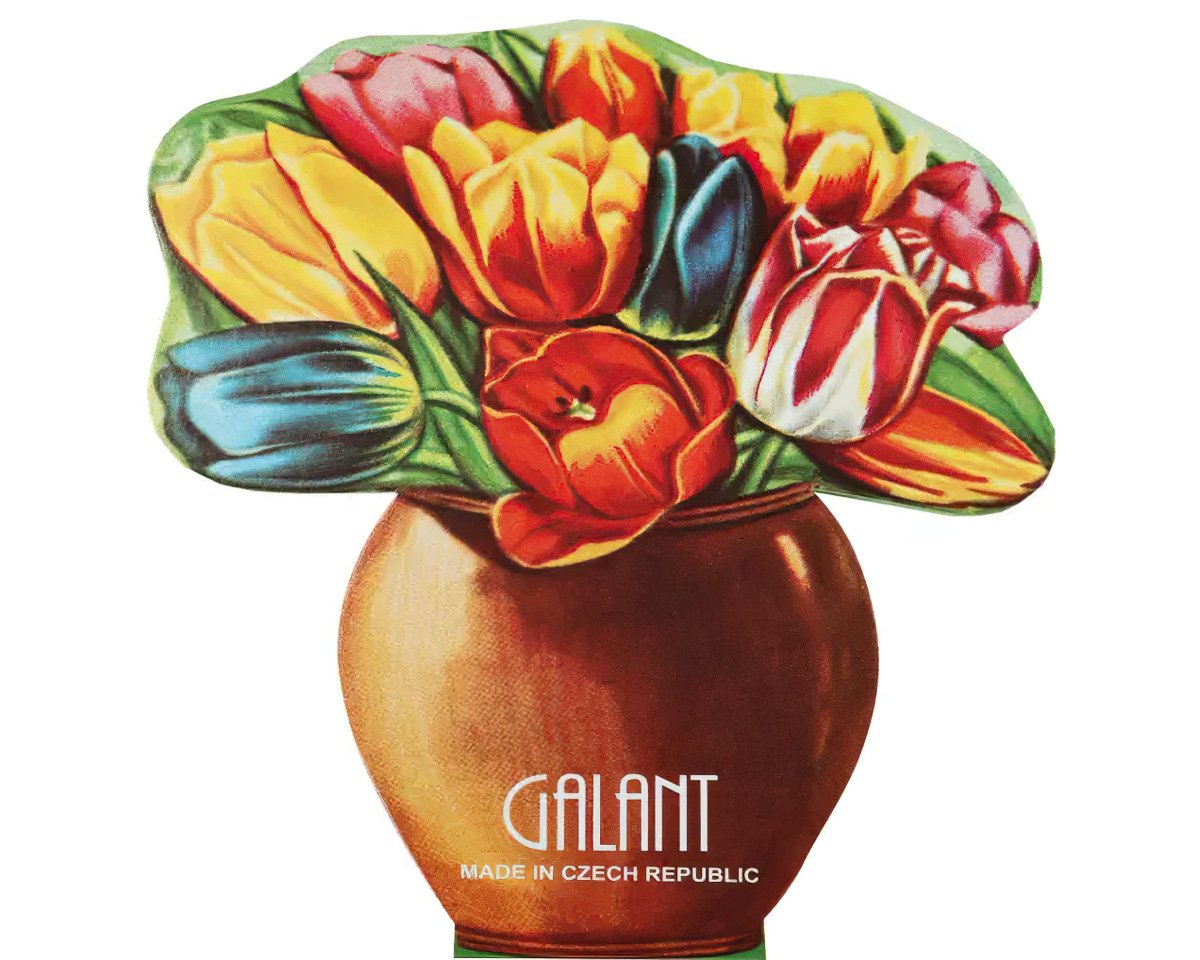 Jehly / sada jehel mapka TULIPÁN GALANT s navlékačem nití, 19 kusů (mix velikostí)