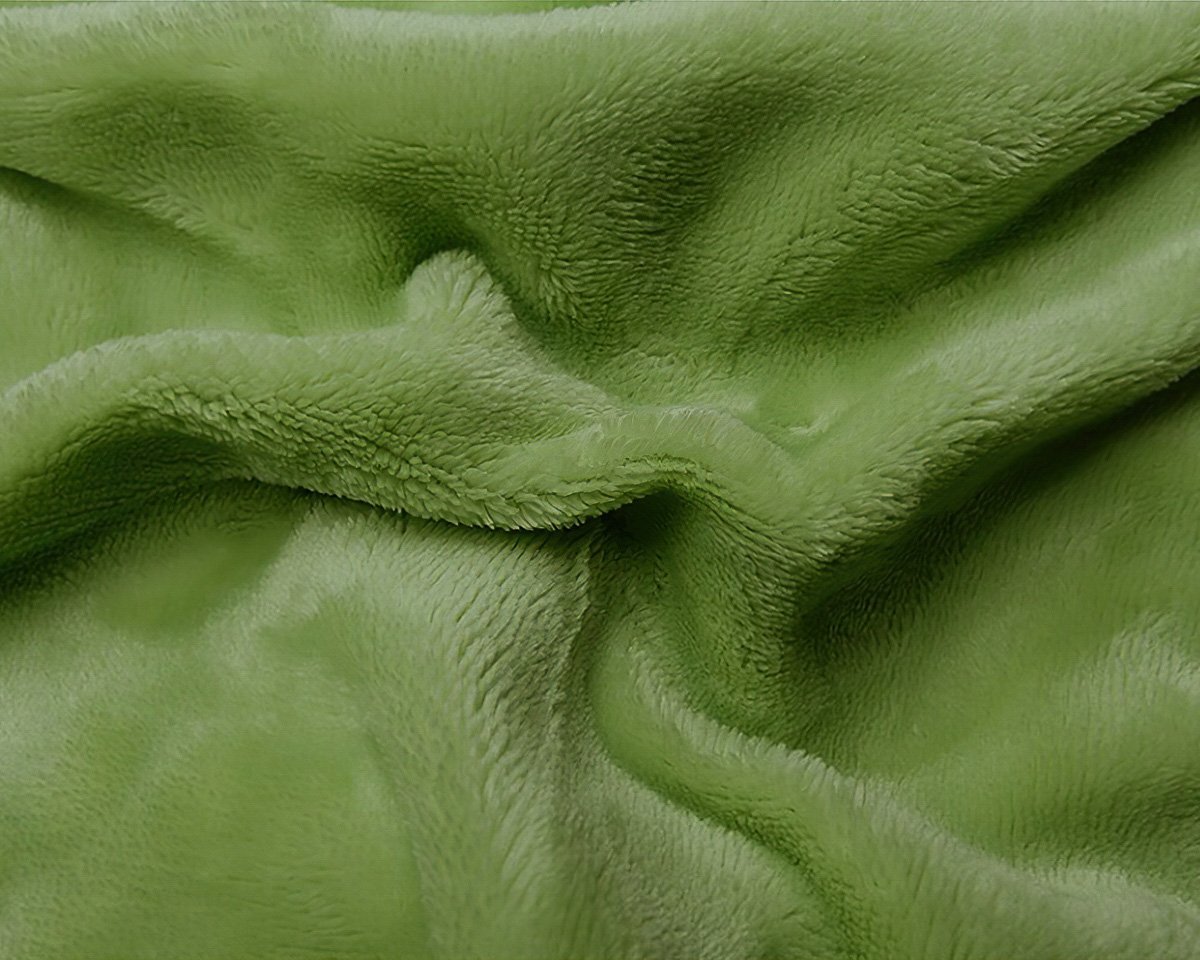 Prostěradlo MIKROFLANEL SLEEP WELL 90x200cm, kiwi zelené