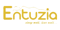 Entuzia