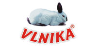 Vlnika