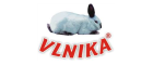 Vlnika